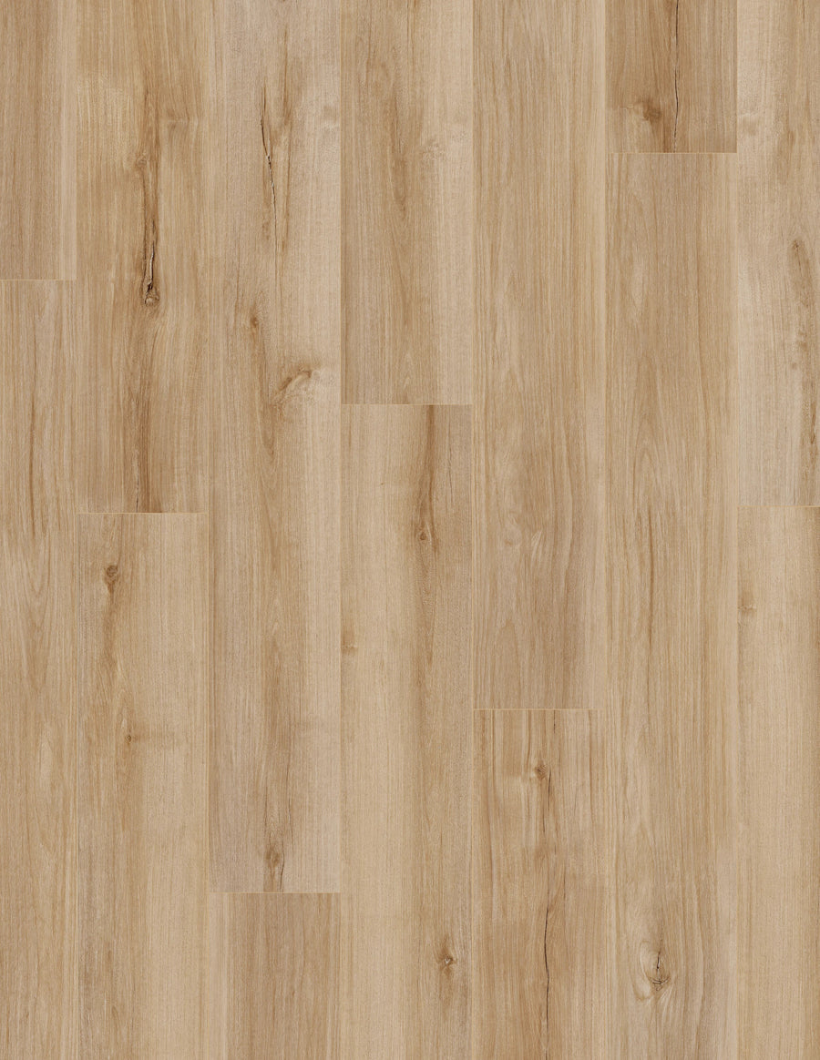 COREtec - Pro Enhanced - Lucent Oak