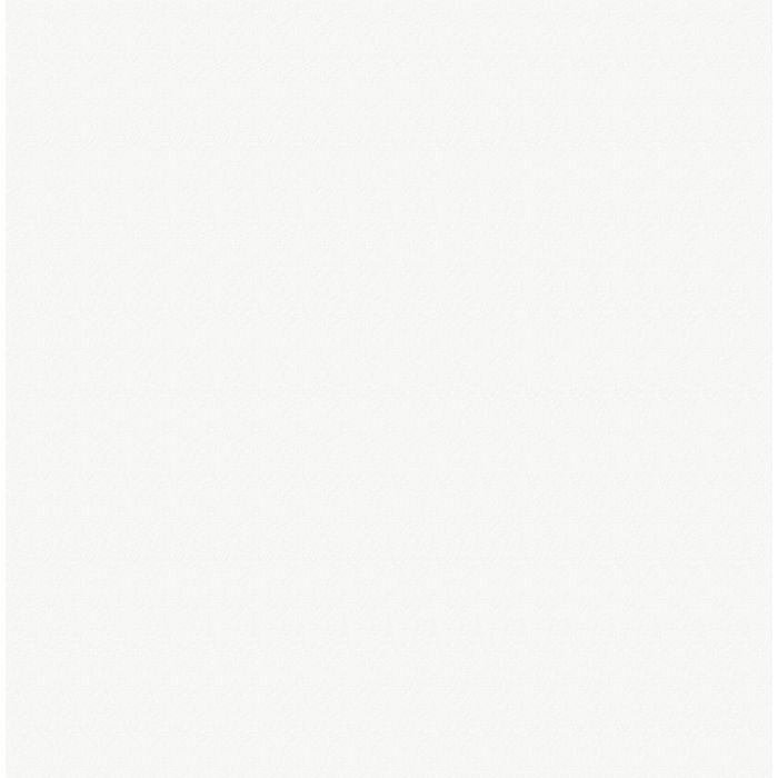 OLYMPIA TILE + STONE - Unicolour Series - Porcelain Tile - White Other Colours - 12" x 24"