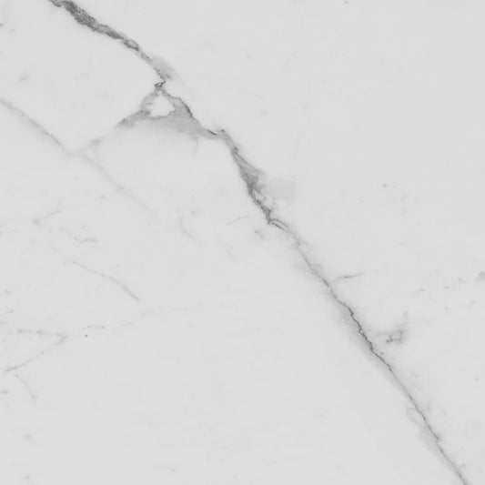 OLYMPIA TILE + STONE - Sempre Series - Porcelain Tile - White - 13" x 13"