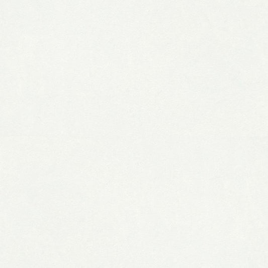 OLYMPIA TILE + STONE - Unicolour HV Series - Porcelain Tile - White - 24" x 24"