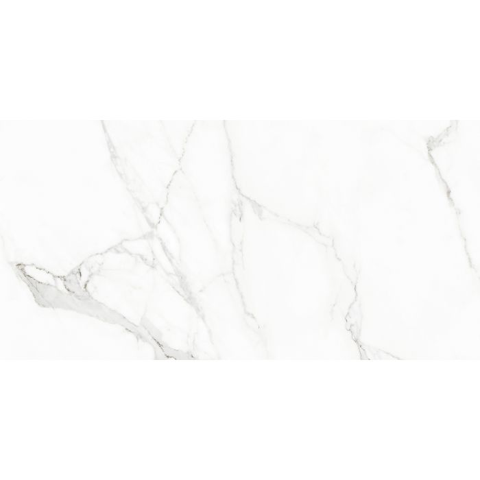 OLYMPIA TILE + STONE - Rhapsody Series - Porcelain Tile - White Beauty - 24" x 48"