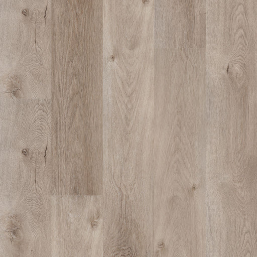 MSI Surfaces - Cyrus® 2.0TM - Whitfield Gray