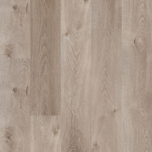 MSI Surfaces - Cyrus® 2.0TM - Whitfield Gray