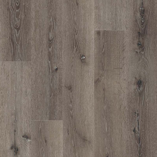 MSI Surfaces - Wilmont Collection - Charcoal Oak