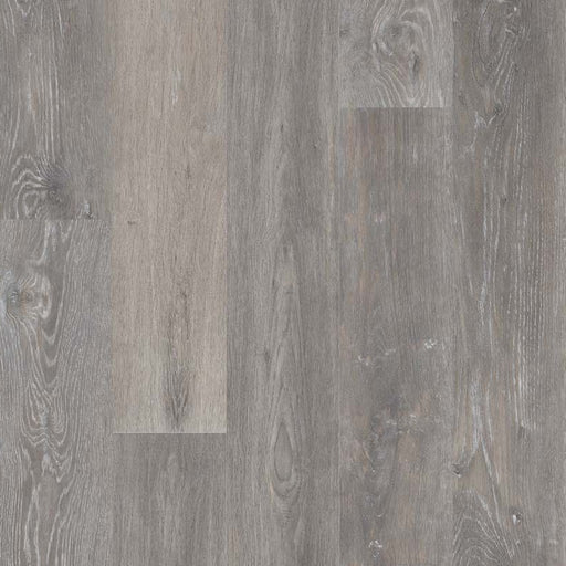 MSI Surfaces - Wilmont Collection - Elmwood Ash