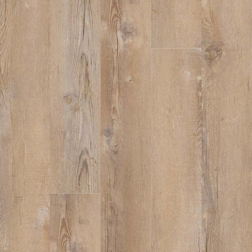 MSI Surfaces - Wilmont Collection - Lime Washed Oak