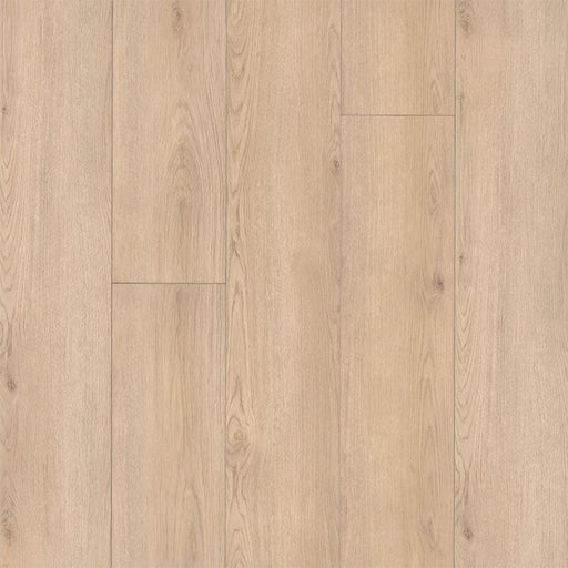 MSI Surfaces - XL Cyrus® Collection - Chester Hills