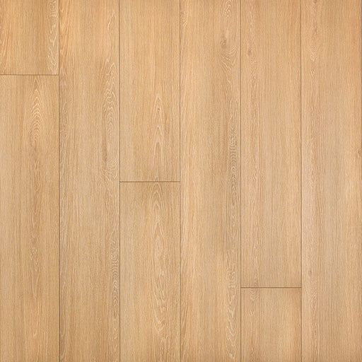 MSI Surfaces - XL Cyrus® Collection - Valleyview Grove