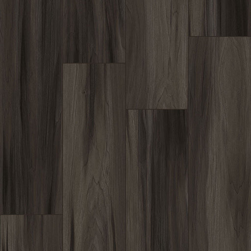 MSI Surfaces - XL Cyrus® Collection - Jenta