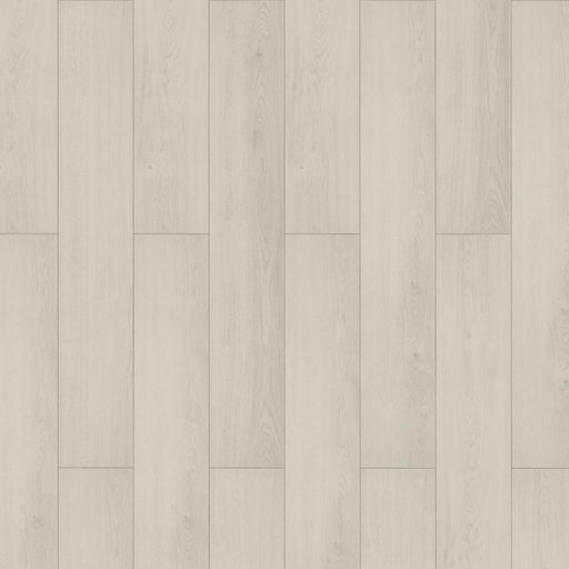 InHaus - Lamdura - Visions Collection - Darwin