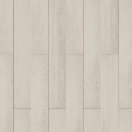 InHaus - Lamdura - Visions Collection - Darwin