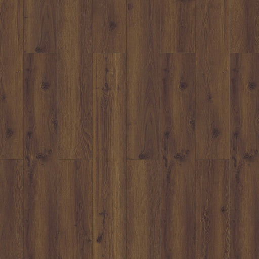 InHaus - Lamdura - Visions Collection - Cask Oak