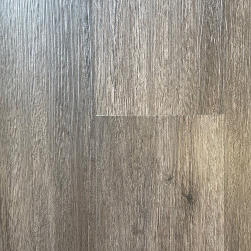 Simba - Universe Collection - Dusk