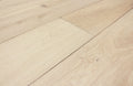 PRAVADA - Canvas Collection - Atelier