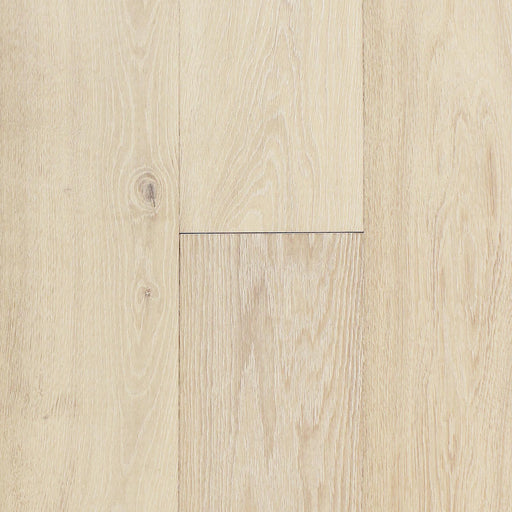 PRAVADA - Canvas Collection - Aura