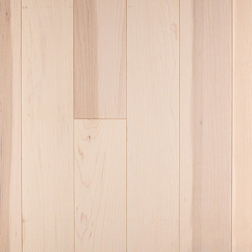 Wickham - Domestic Collection - Canadian Plus Grade - 3 1/4" - Maple - Barewood