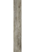 Harbinger - Craftsman Series - Beachcomber