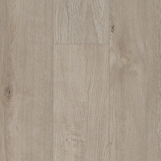 TORLYS - Rigidwood Firm Vista - Bluepeter