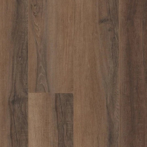 CORETEC - PRO PLUS XL ENHANCED HD - CHESHIRE ELM