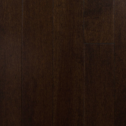 Wickham - Domestic Collection - Canadian Plus Grade - 3 1/4" - Maple - Coffee