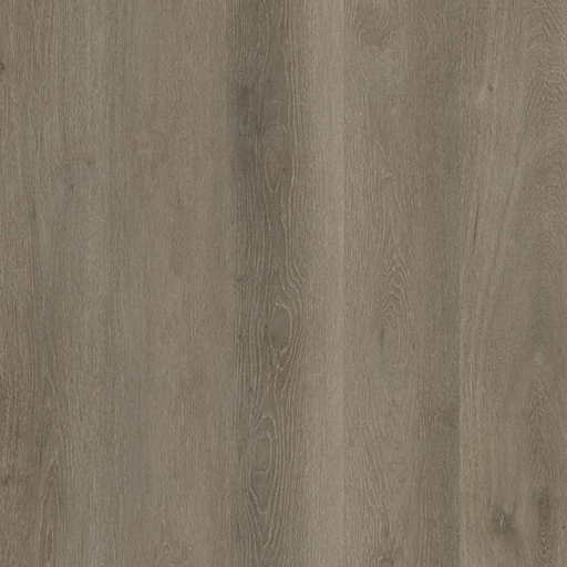 MSI Surfaces - Cyrus Collection - Cranton