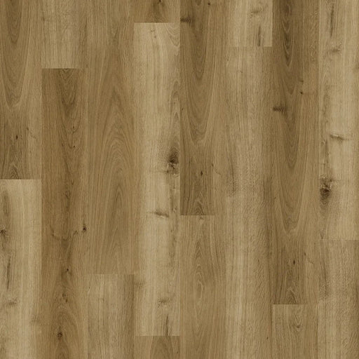 Harbinger - Quiet Zone Series - Cumulus