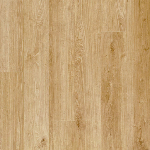 TORLYS - Elka Collection - Rustic Oak