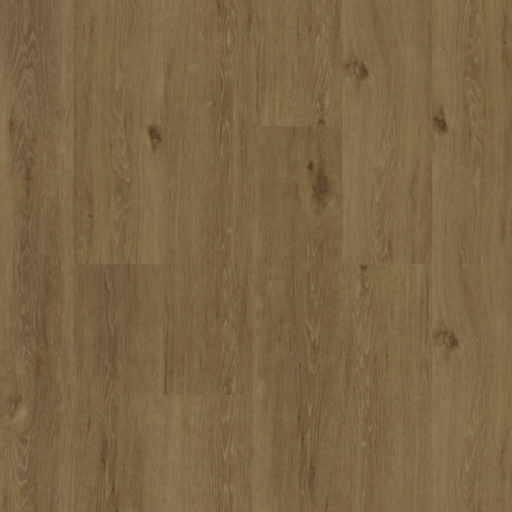 BIYORK - HydroGen 5 - Goldcoast