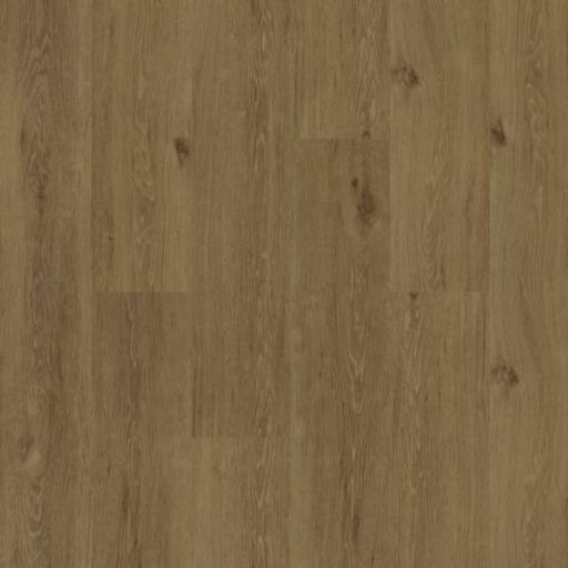 BIYORK - HydroGen 5 Pro - 2MM - Gold Coast