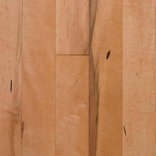 Wickham - Domestic Collection - Canadian Plus Grade - 3 1/4" - Maple - Golden