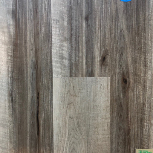 Simba - Universe Collection - Hofbrauhaus