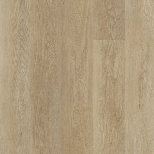 BiYork - Traktion Loose Lay Collection - Haywire