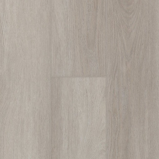 TORLYS - Rigidwood Firm Elite - Hendrie