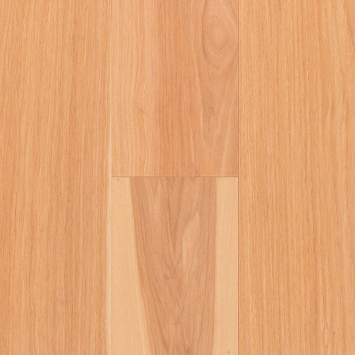 TORLYS - Everest XP Elite - Maple Natural*