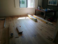 Simba - Engineered Hardwood Collection - Lion