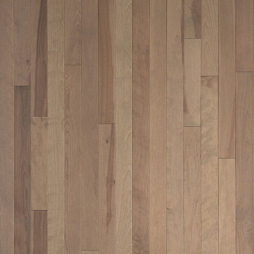 Wickham - Domestic Collection - Cottage Grade - 3 1/4" - Birch - Kelya