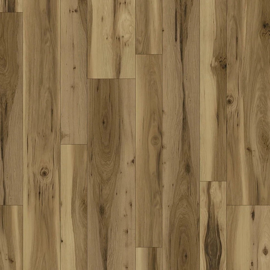 Harbinger - Acoustic Click Waterproof CompositeCore - Knoxville