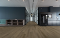 Harbinger - Acoustic Click - Engineered Rigid Vinyl Plank - Madagascar