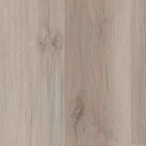 COREtec - Pro Classics - Maffei Cherry