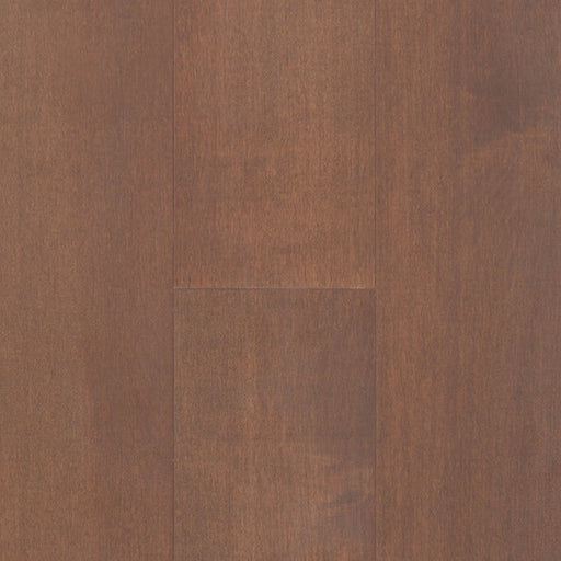 TORLYS - Everest XP Elite - Maple Arabica*