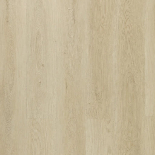 BIYORK - HydroGen 6 - Midday Sunrise