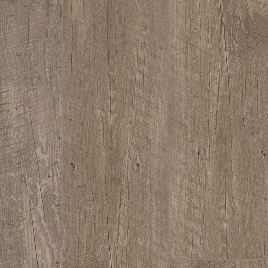 COREtec - Plus Enhanced 7" - Nares Oak