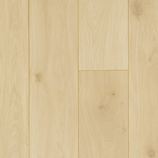 TORLYS - Leuco Collection - Natural Oak