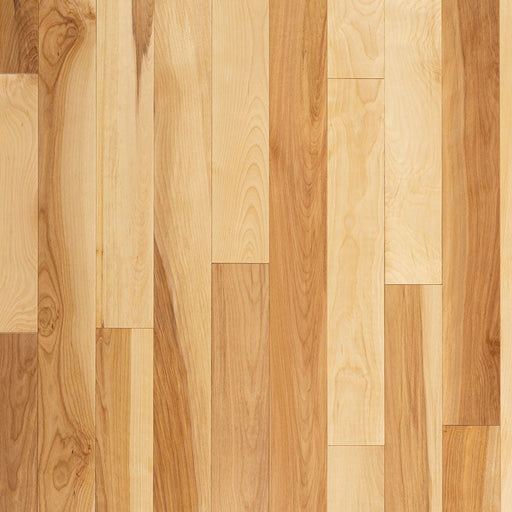 Wickham - Domestic Collection - Cottage Grade - 3 1/4" - Birch - Natural