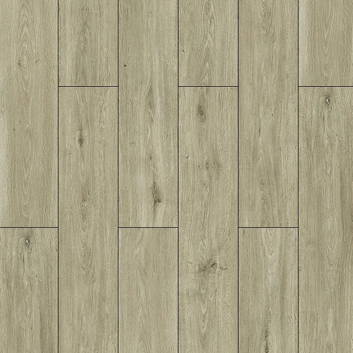 Harbinger - Quiet Zone Series - Nuance