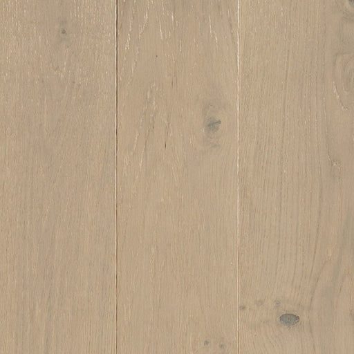 TORLYS -  SuperSolid 4 Series - Porter