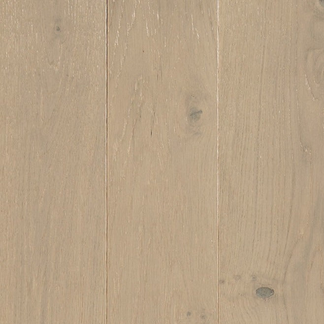 TORLYS -  SuperSolid 4 Series - Porter