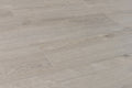 TURION - Genesis Collection - Primrose
