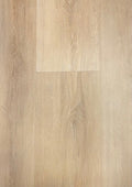 TURION - Perennial Collection - Lily