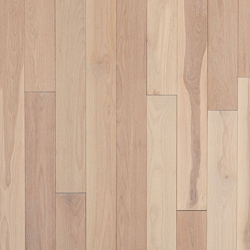 Wickham - Domestic Collection - Cottage Grade - 3 1/4" - Birch - Sandbank